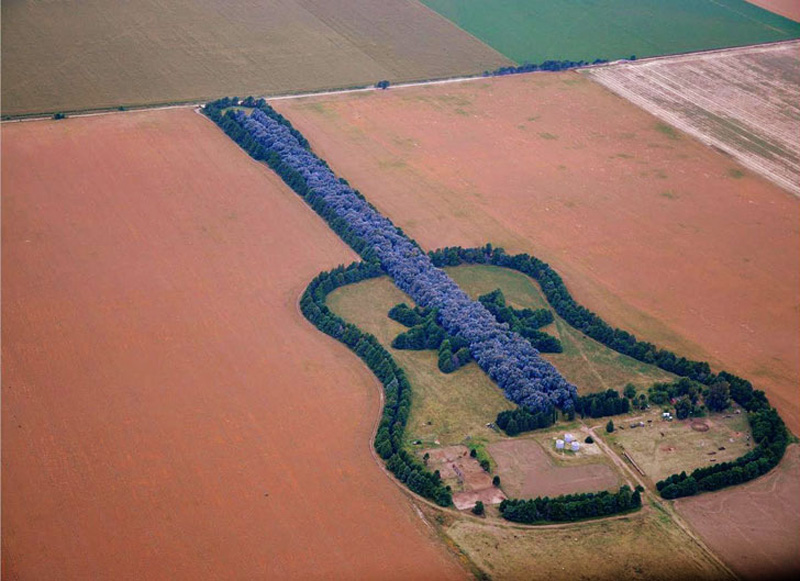 Лес в форме гитары "Лесная гитара" (Forest Guitar), Аргентина