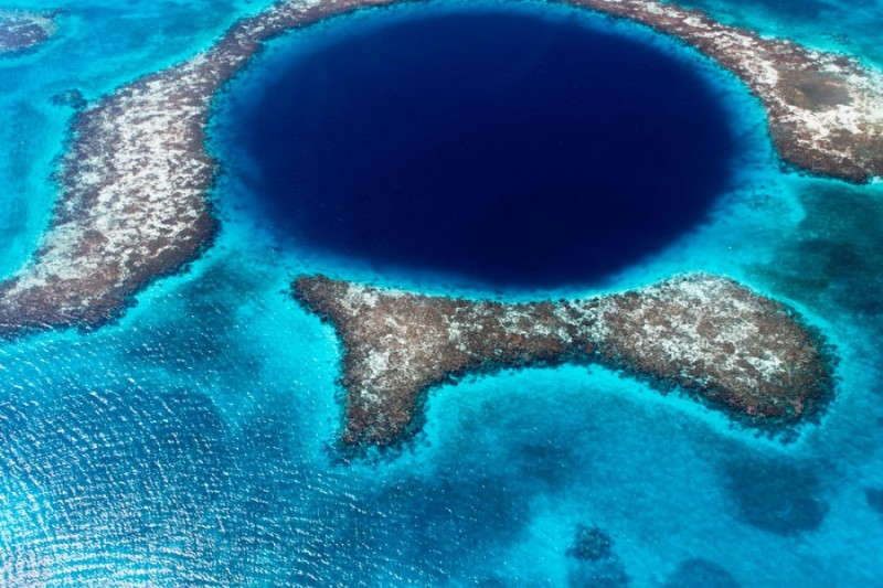 Большая голубая дыра, Великая синяя (Great Blue Hole), Лайтхаус-Риф, Белиз