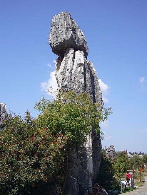 Каменный лес Шилинь (Shilin), Китай