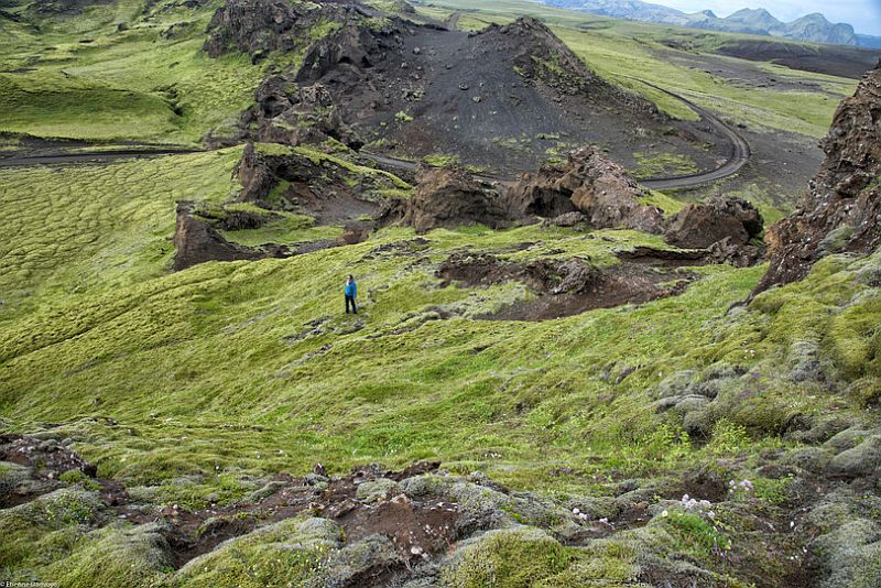Мох в Исландии, Лавовые поля