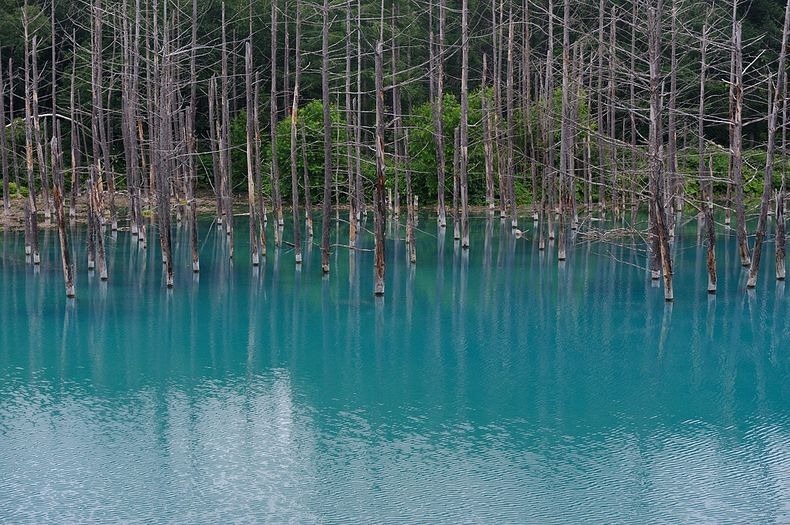 Голубой пруд (Blue Pond), Хоккайдо, Япония