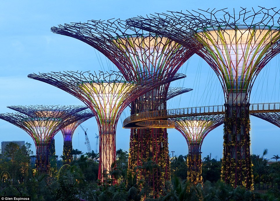 Ботанический сад Сингапура. Фото и как добраться
