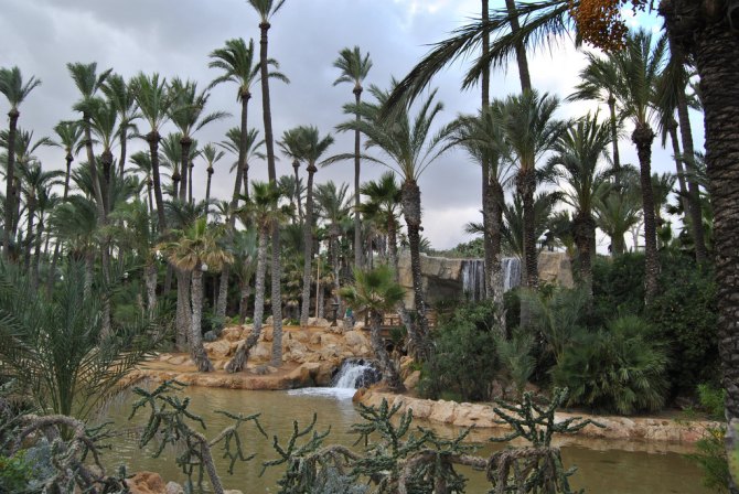 Пальмовый лес Эльче, Пальмераль Эльче, Аликанте, Испания (Palmeral of Elche)