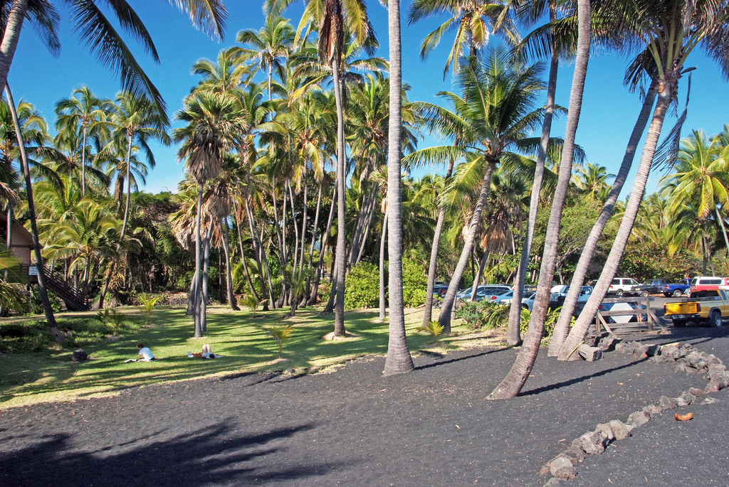 Черный песок пляжа Punaluu Beach, Гавайи